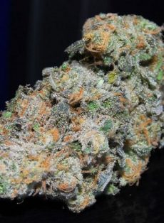 Blue Dream Feminized Marijuana Seeds